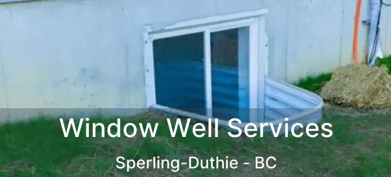  Window Well Services Sperling-Duthie - BC