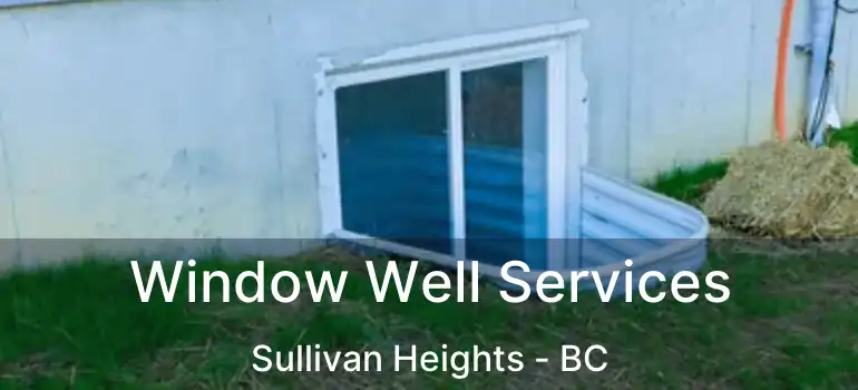 Window Well Services Sullivan Heights - BC